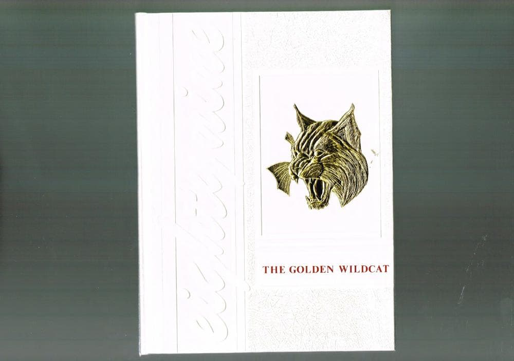 Cover of the 1989 Melrose yearbook