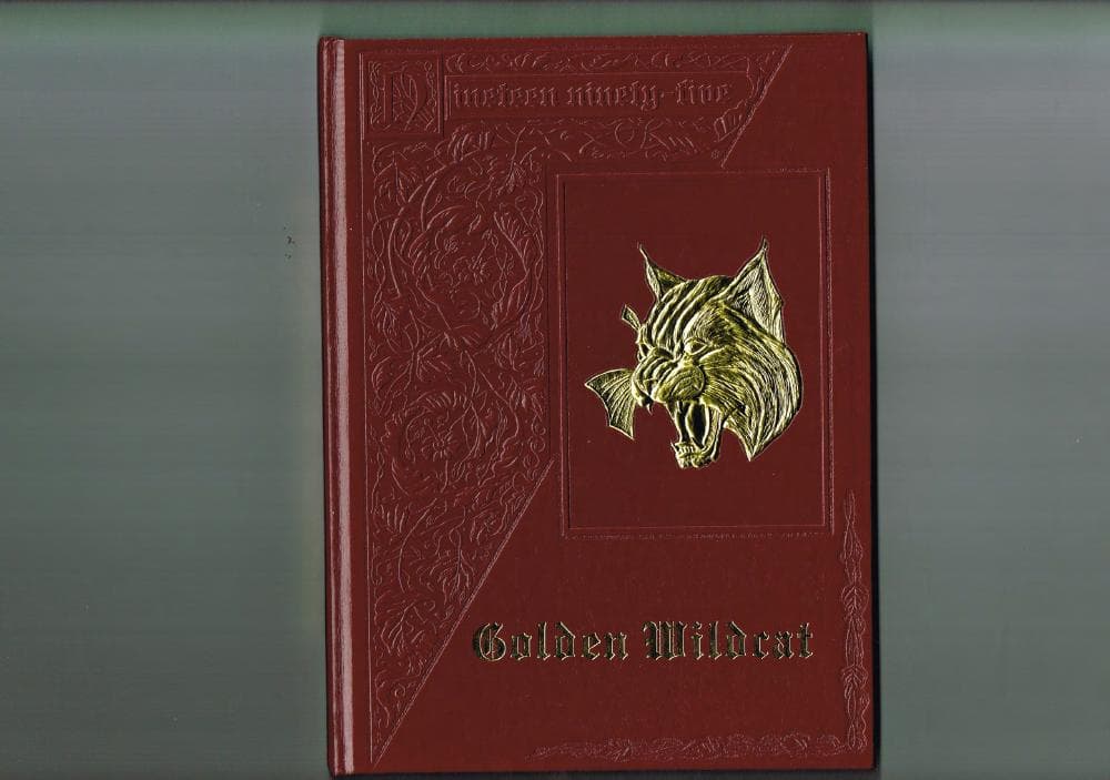 Cover of the 1995 Melrose yearbook